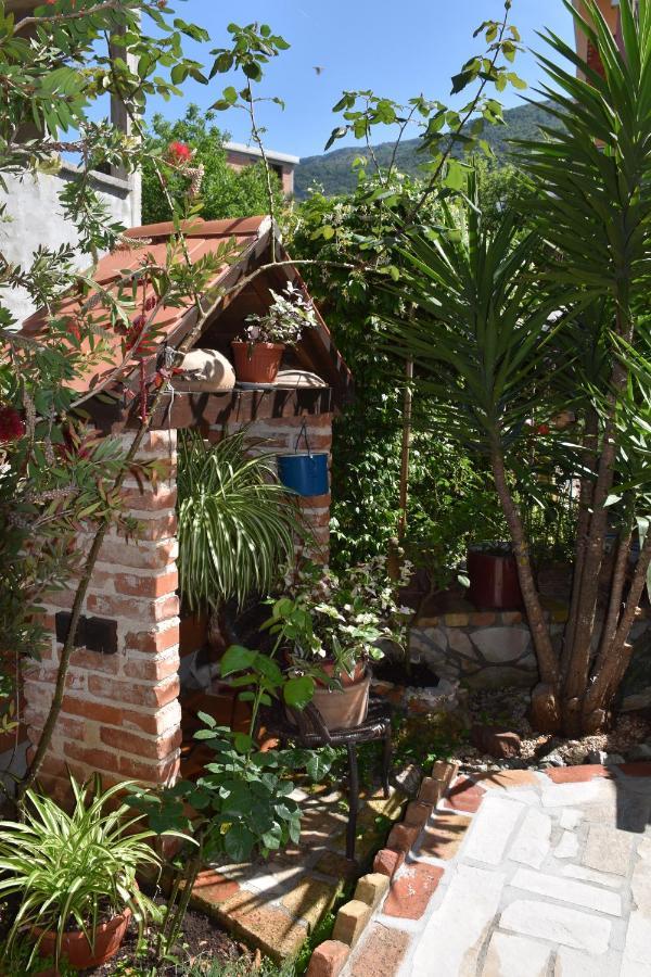 Apartments Scepanovic Tivat Ngoại thất bức ảnh