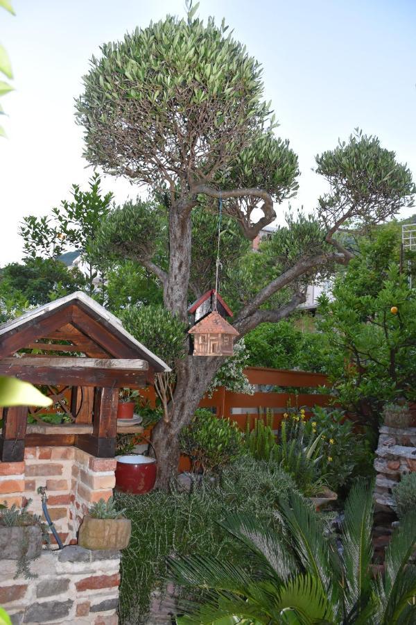 Apartments Scepanovic Tivat Ngoại thất bức ảnh